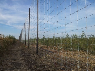 Вольер о.х. Аргамак-Р Ростовская обл