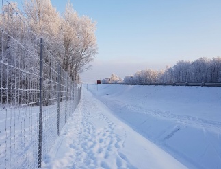 Защитное ограждение Вологда-Медвежьегорск