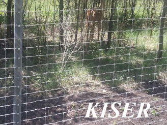 Вольер для оленей, Воронежская область