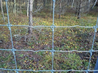 Сетка для ограждений и диких животных